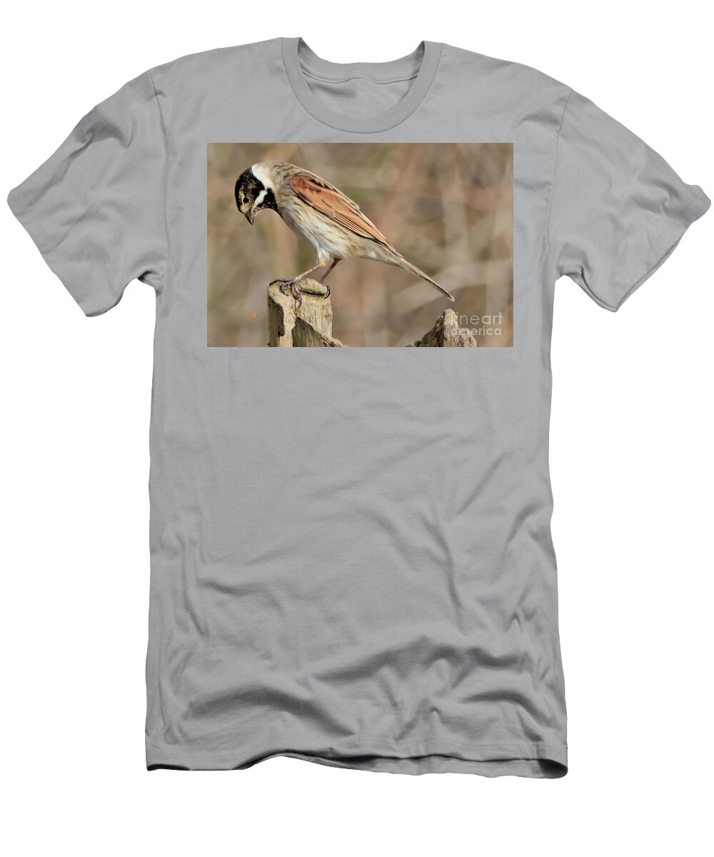 Bird T-Shirt featuring the photograph Common Reed Bunting by Baggieoldboy