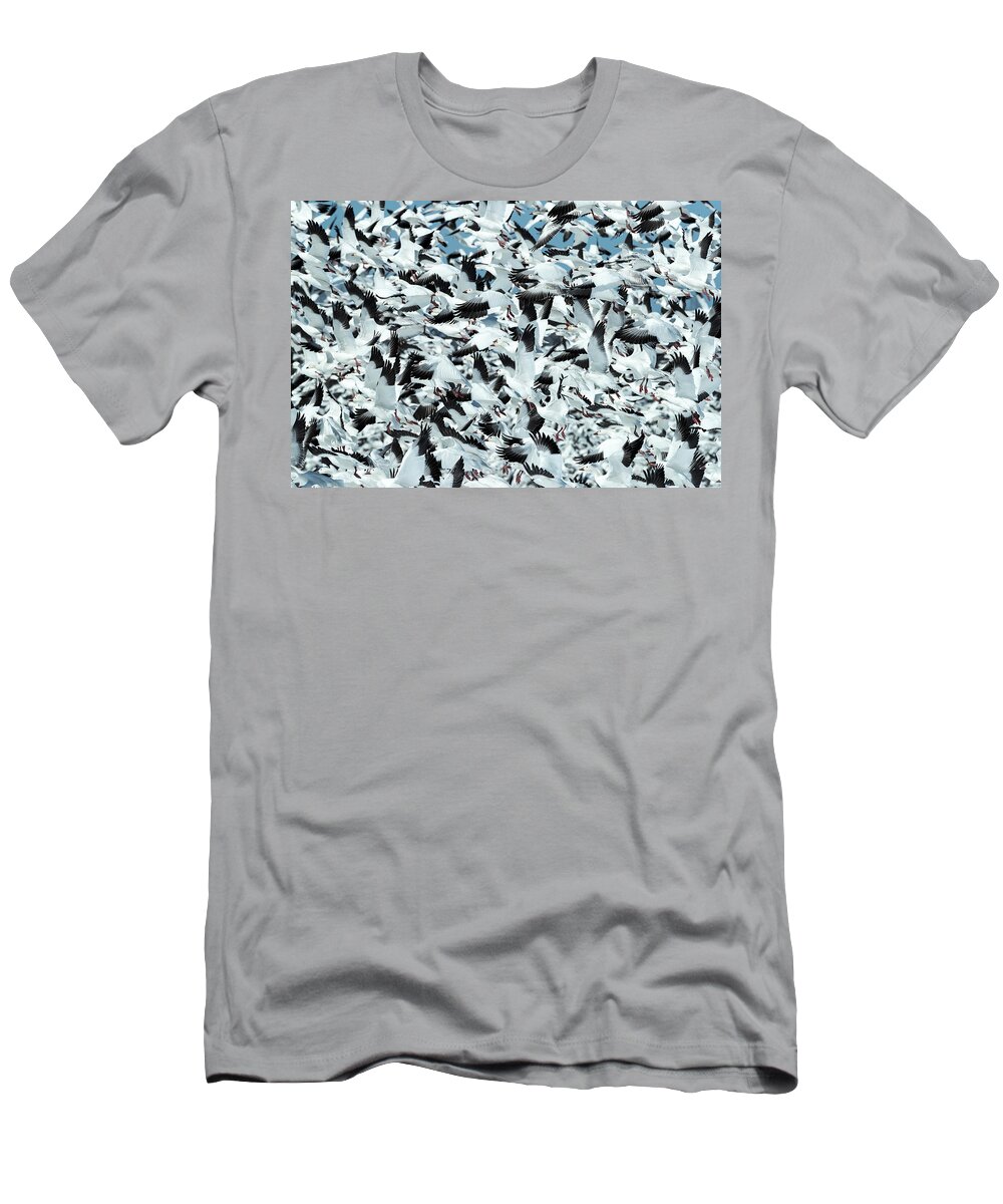 Snow T-Shirt featuring the photograph Controlled Chaos by Everet Regal