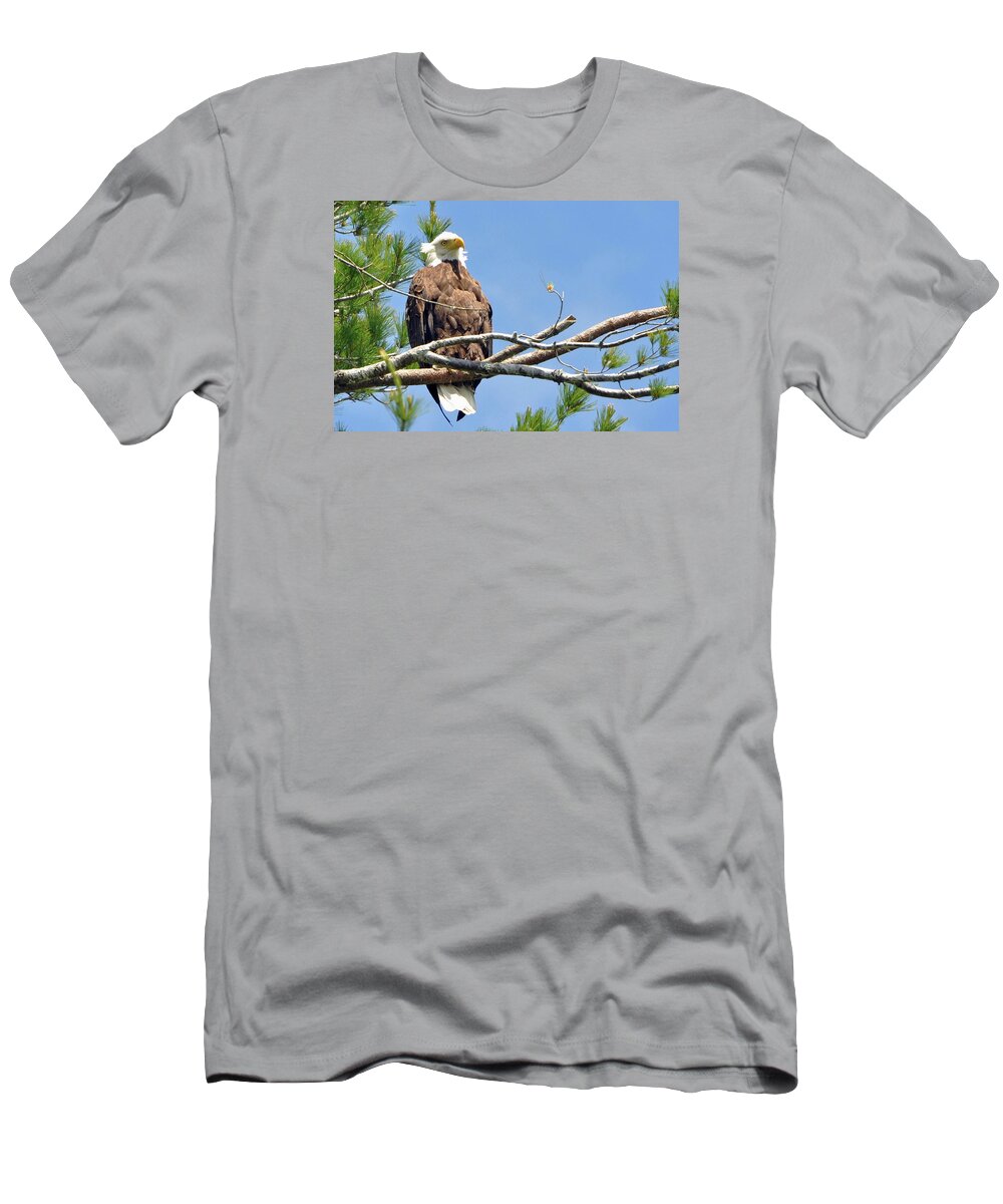 Eagle T-Shirt featuring the photograph Cool Breeze by Glenn Gordon