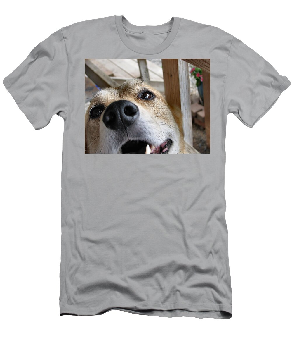 Dog T-Shirt featuring the photograph Coookiesss? by Rory Siegel