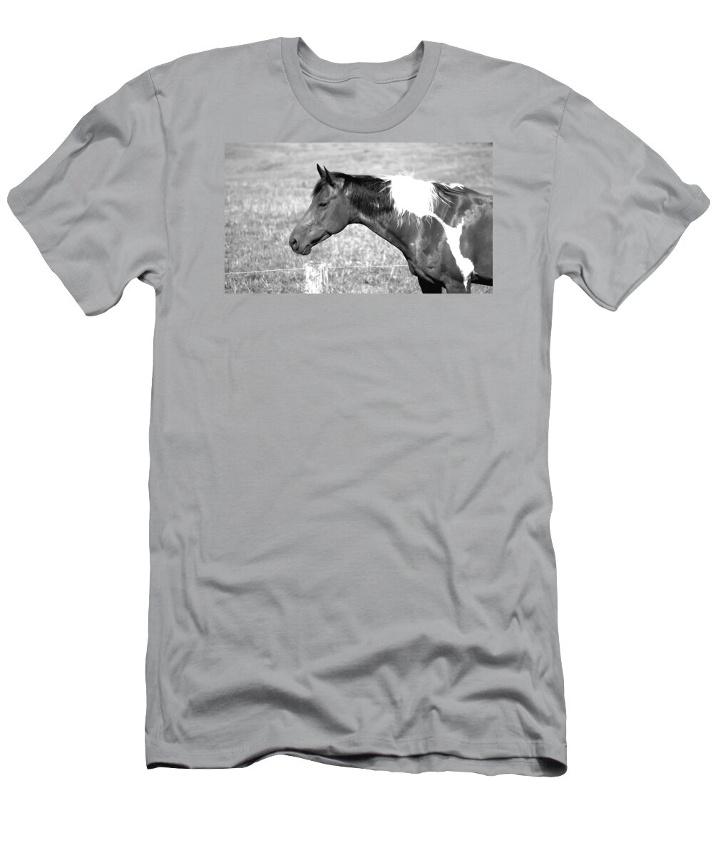 Landscape T-Shirt featuring the photograph Country Horse in Black and White by Morgan Carter