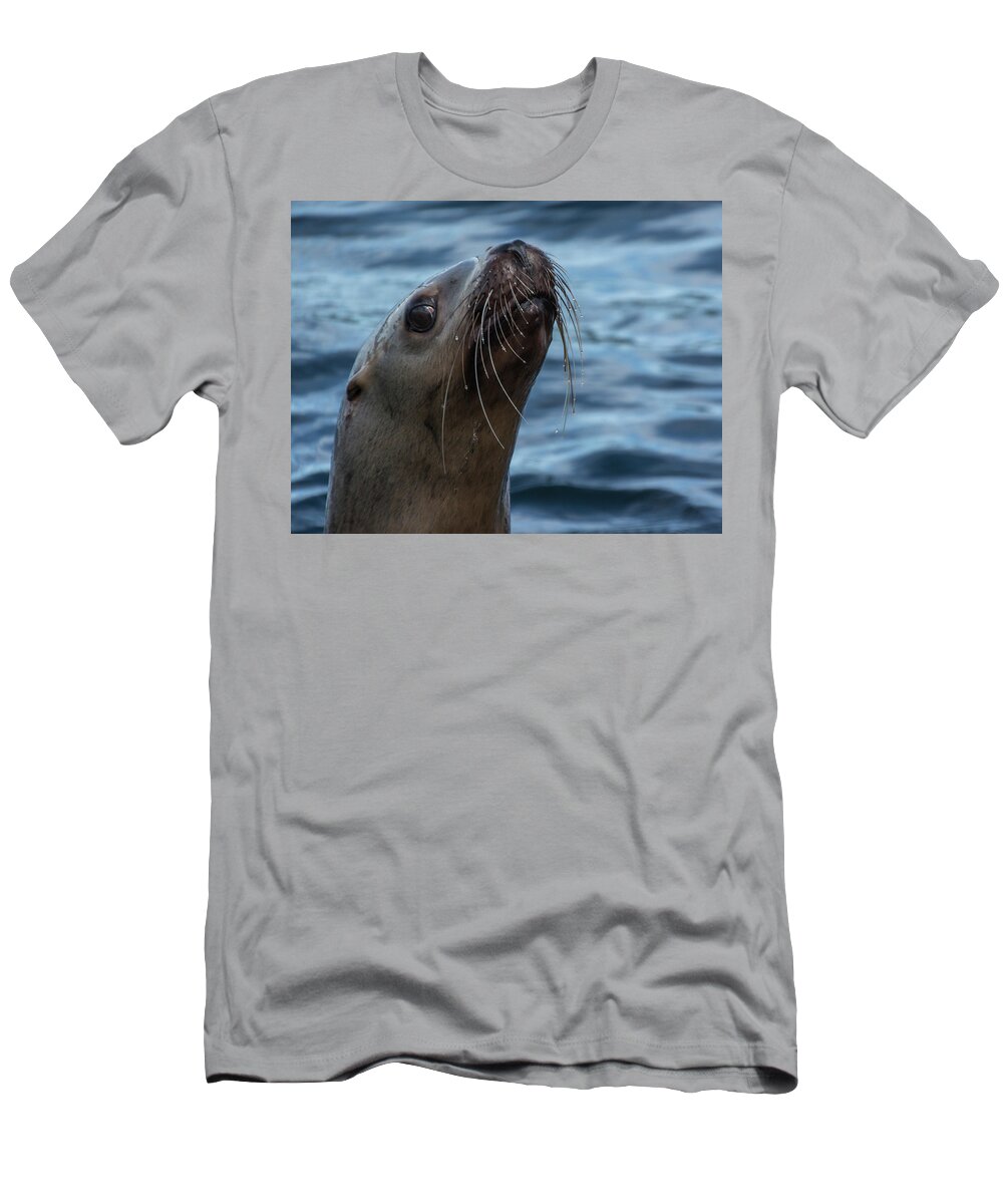 Sea Lion T-Shirt featuring the photograph Curious Lion by David Kirby