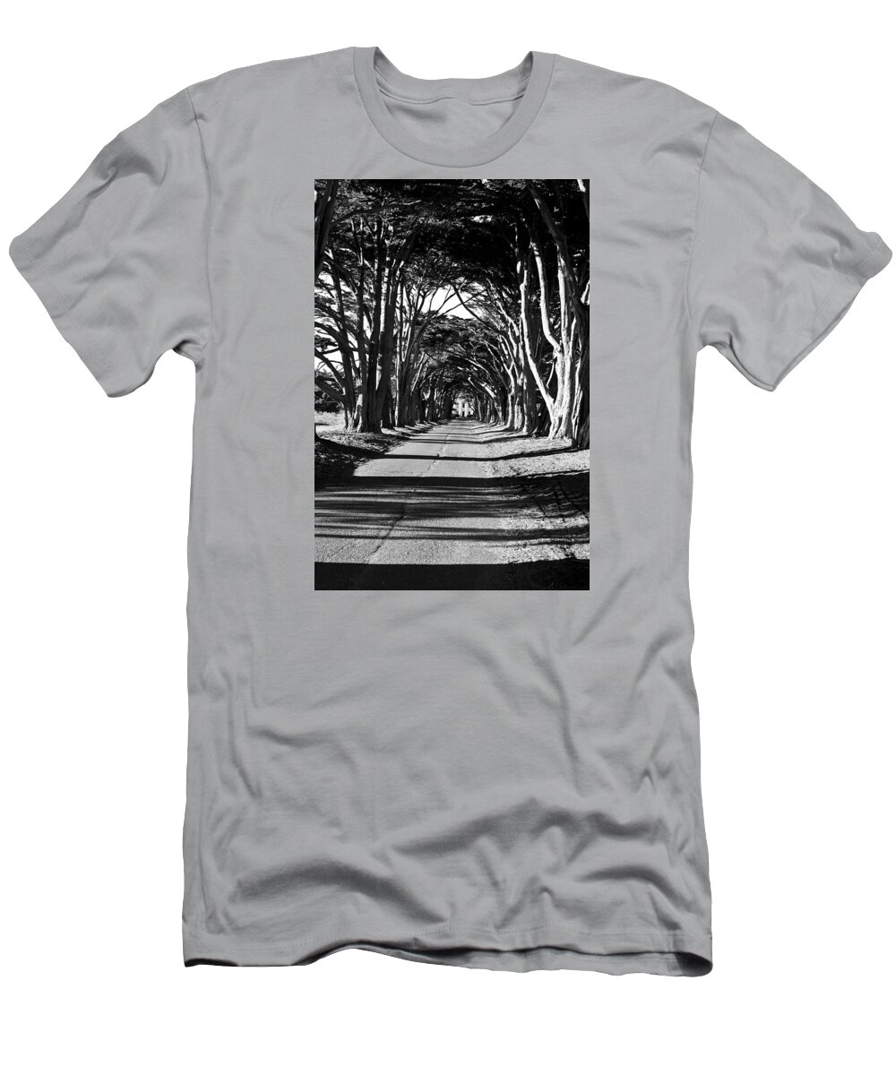 Cypress T-Shirt featuring the photograph Cypress Tree Tunnel by Brad Hodges