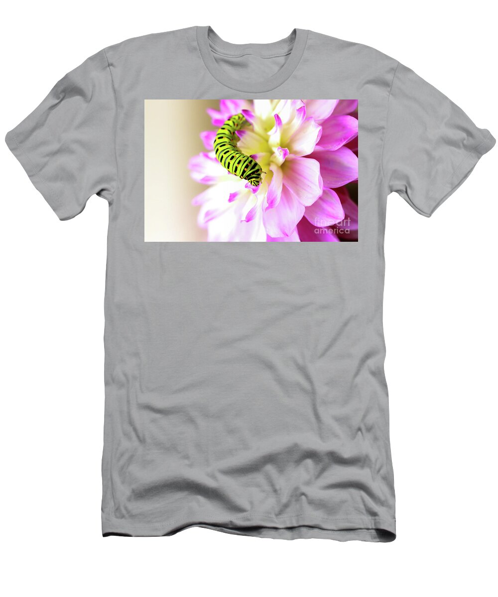 Dahlia T-Shirt featuring the photograph Dahlia with Caterpillar by Amanda Mohler