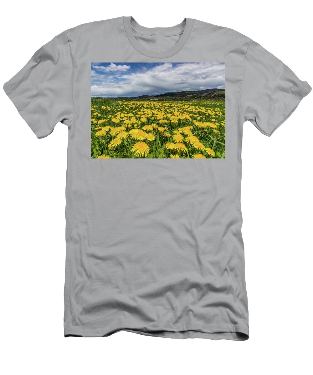 Flowers T-Shirt featuring the photograph Dandelion Fields by Tim Kirchoff