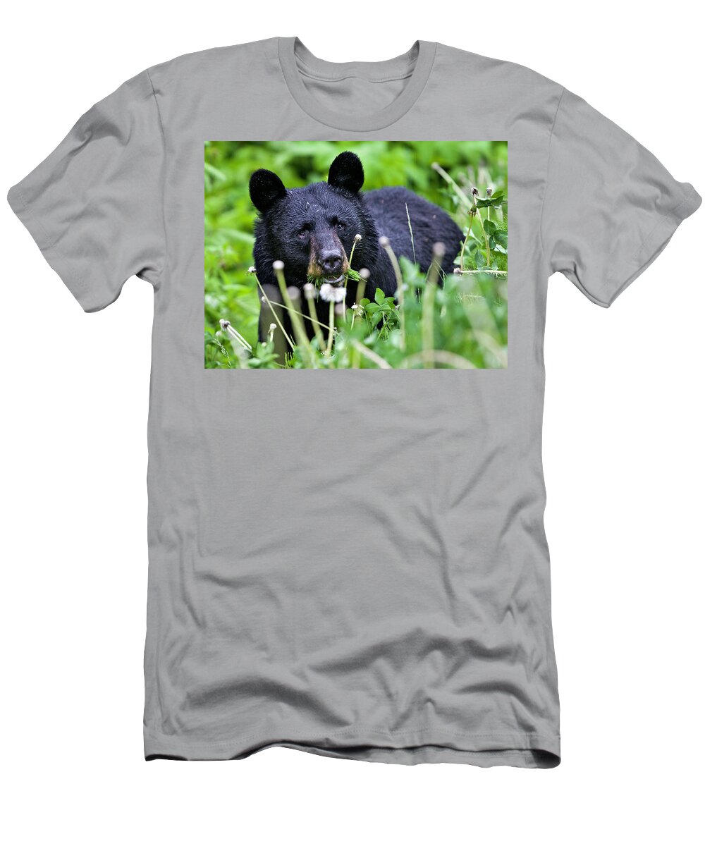 Bear T-Shirt featuring the photograph Dandelion Salad by Paul Riedinger