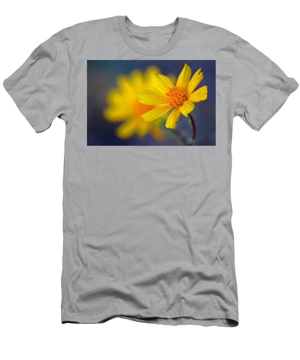 Superbloom 2016 T-Shirt featuring the photograph Death Valley Superbloom 503 by Daniel Woodrum