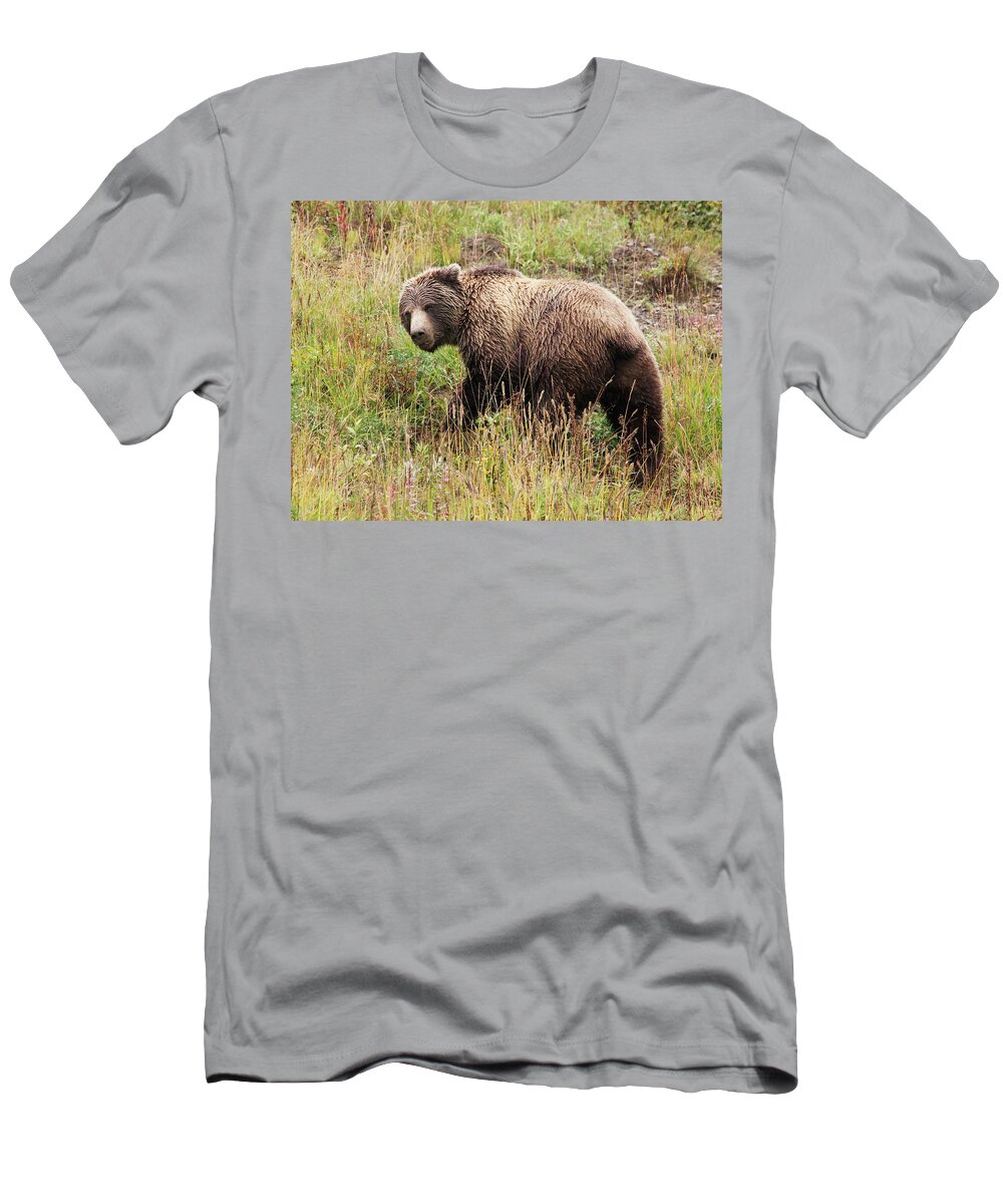 Alaska T-Shirt featuring the photograph Denali Grizzly by Marla Craven