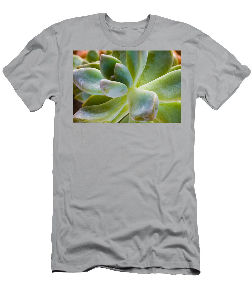 Beautiful T-Shirt featuring the photograph Blue Pearl Plant by Raul Rodriguez