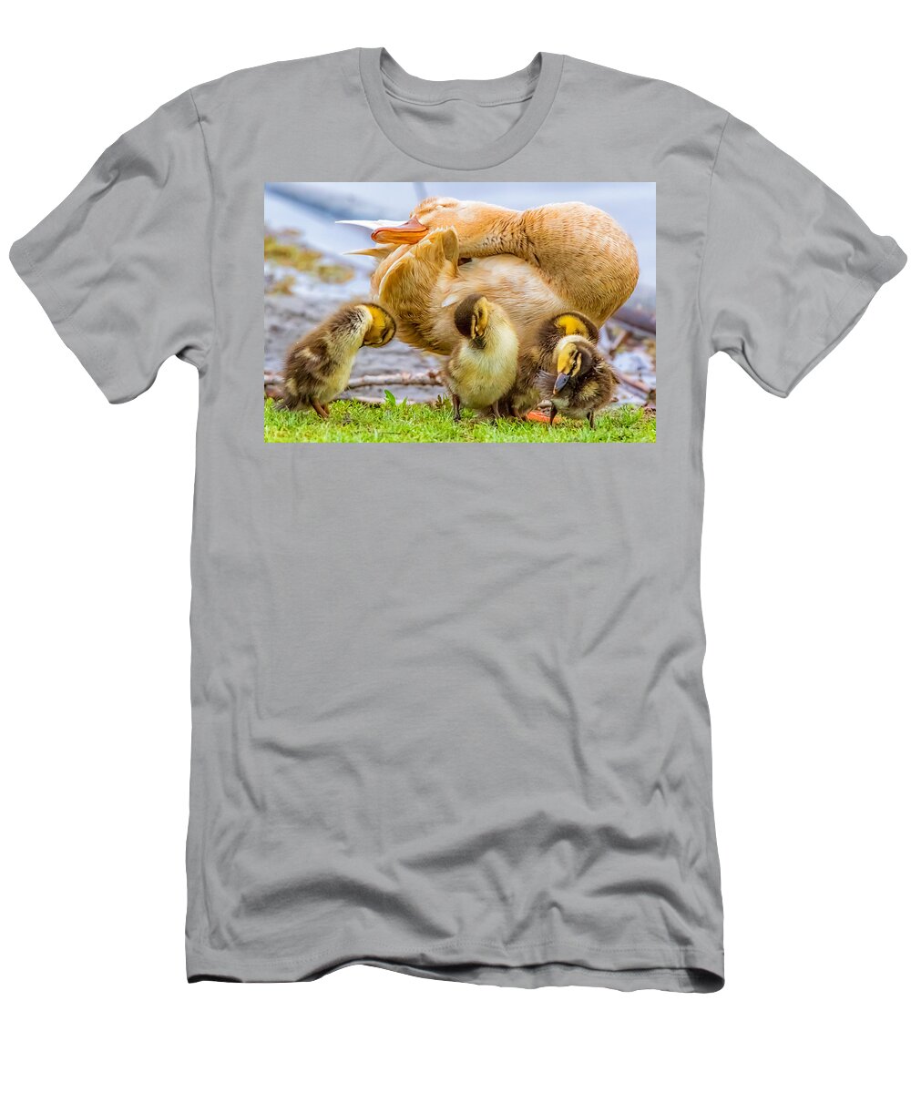 California T-Shirt featuring the photograph Do What Momma Does by Marc Crumpler