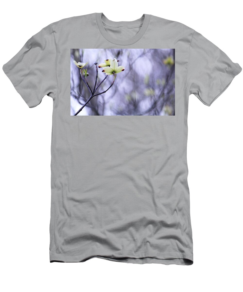 Tree T-Shirt featuring the photograph Dogwood by Tammy Schneider
