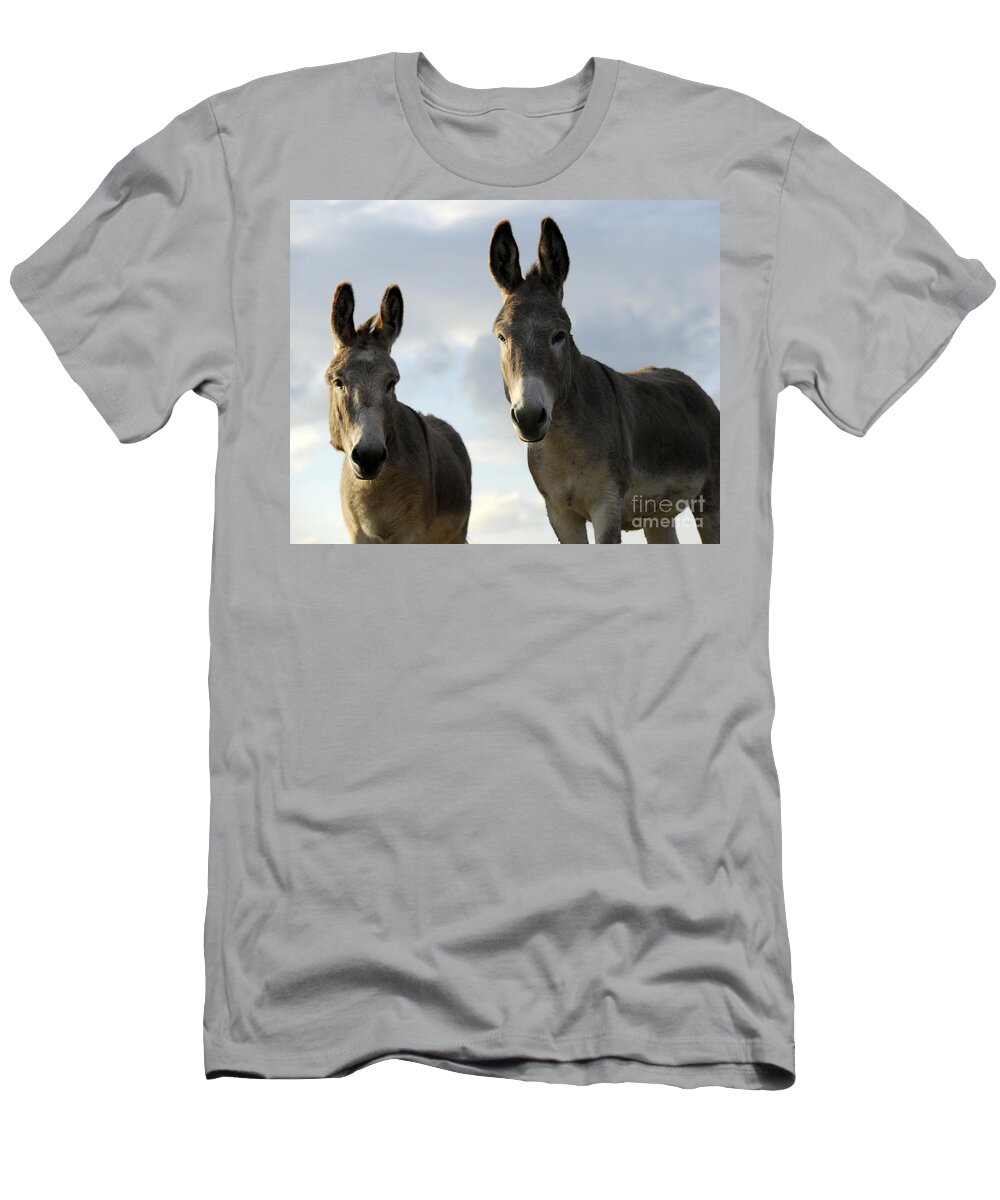 Donkeys T-Shirt featuring the photograph Donkeys #599 by Carien Schippers