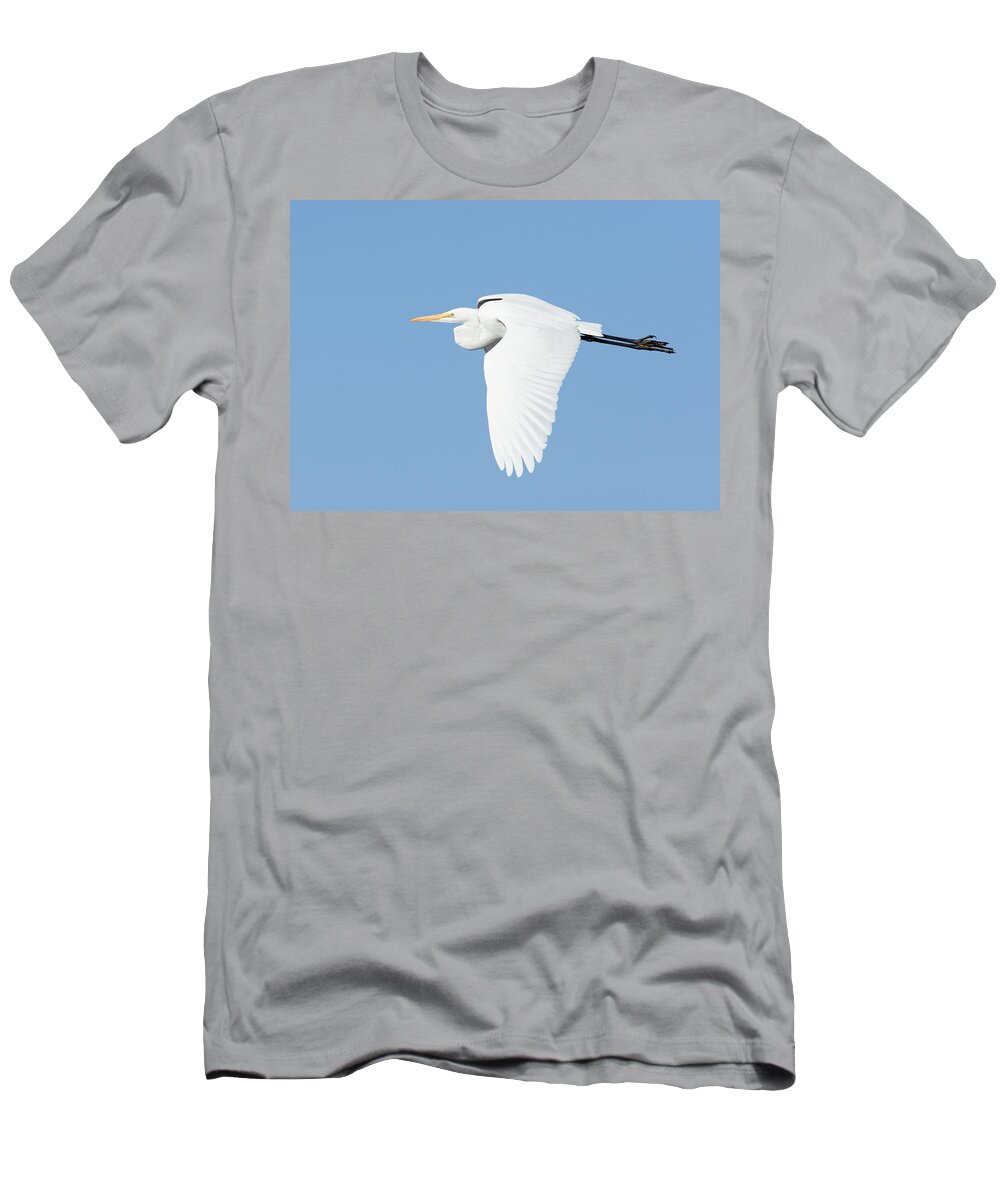 Darin Volpe Animals T-Shirt featuring the photograph Downstroke -- Great Egret at Atascadero Lake Park, California by Darin Volpe