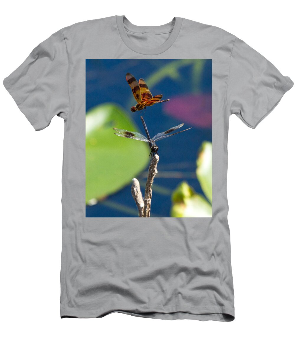 Dragon Fly T-Shirt featuring the photograph Dragon Fly 195 by Michael Fryd
