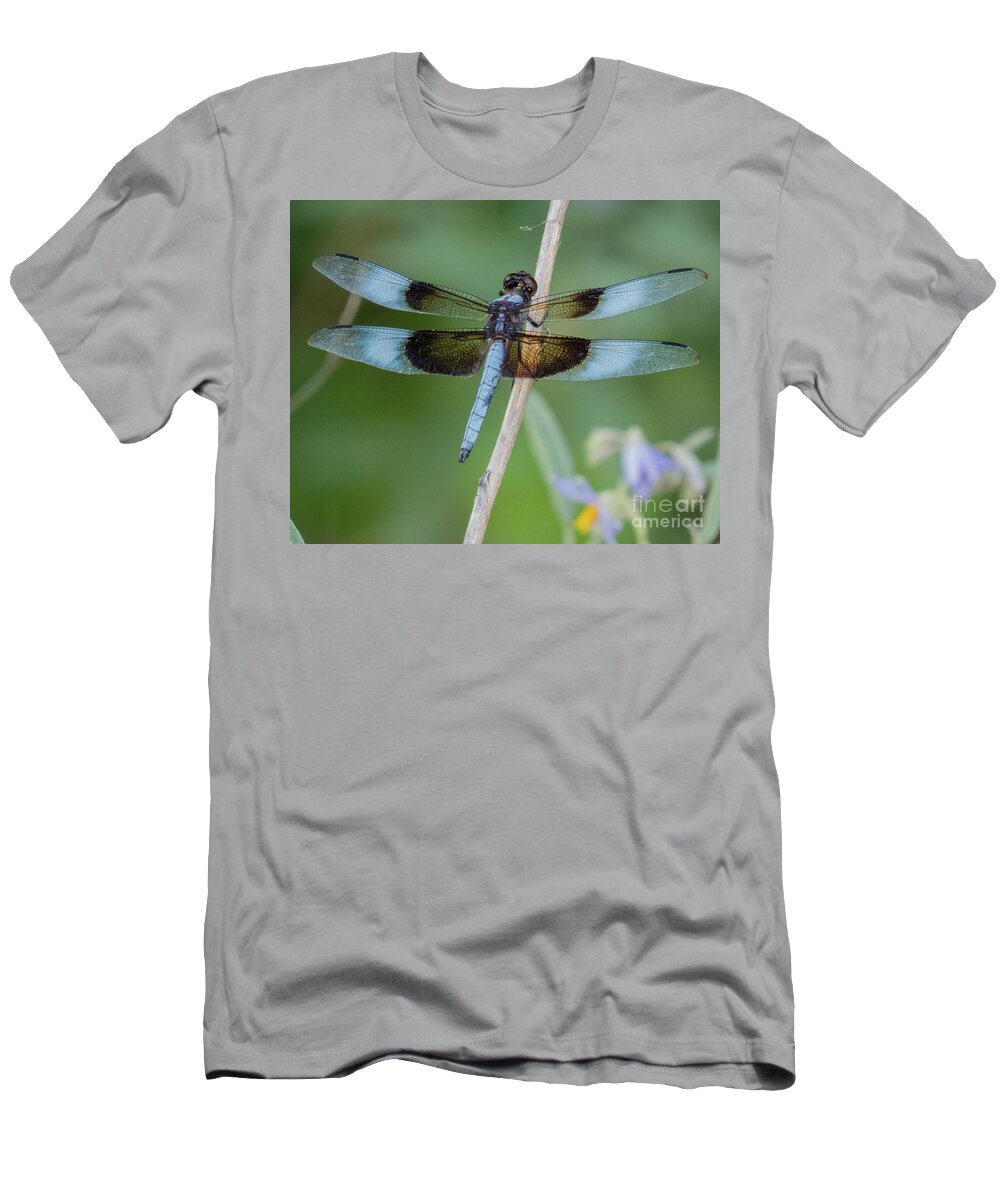 Dragonfly T-Shirt featuring the photograph Dragonfly 12 by Christy Garavetto