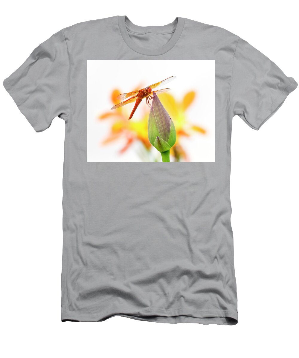 Dragonfly Perch T-Shirt featuring the photograph Dragonfly Perch by Wes and Dotty Weber