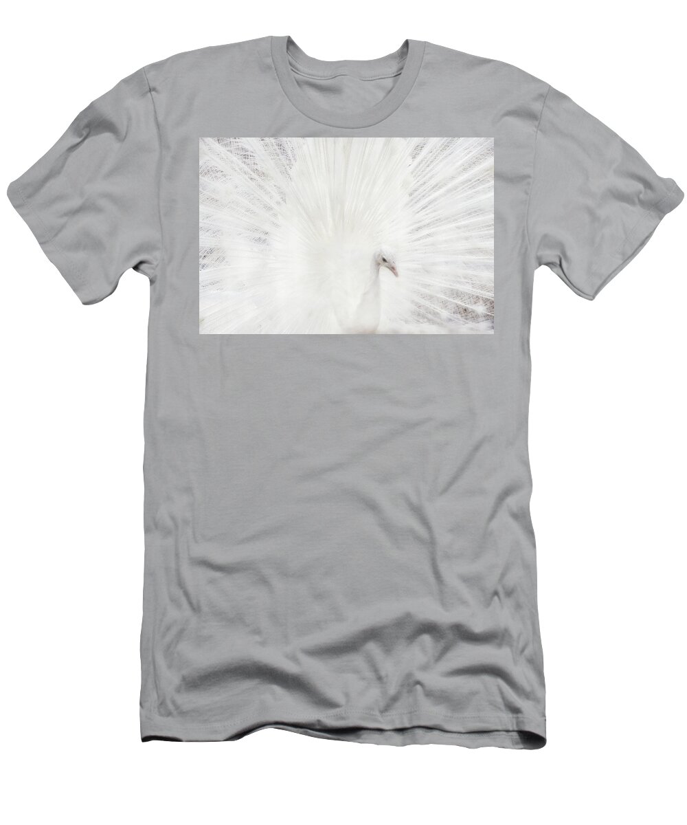 White Peacock T-Shirt featuring the photograph Dreamy White Peacock by Peggy Collins