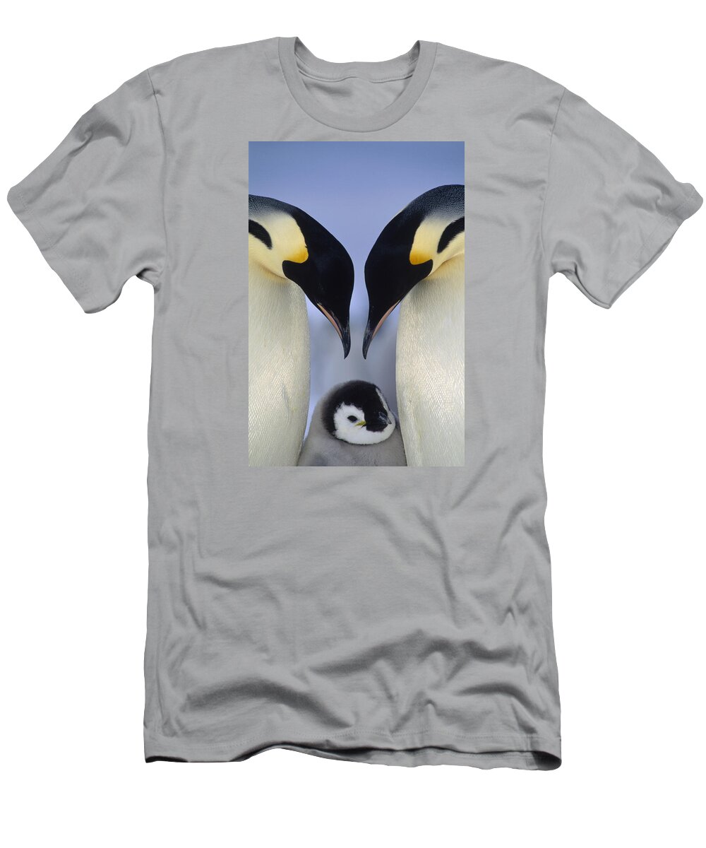 00140140 T-Shirt featuring the photograph Emperor Penguin Family by Tui De Roy