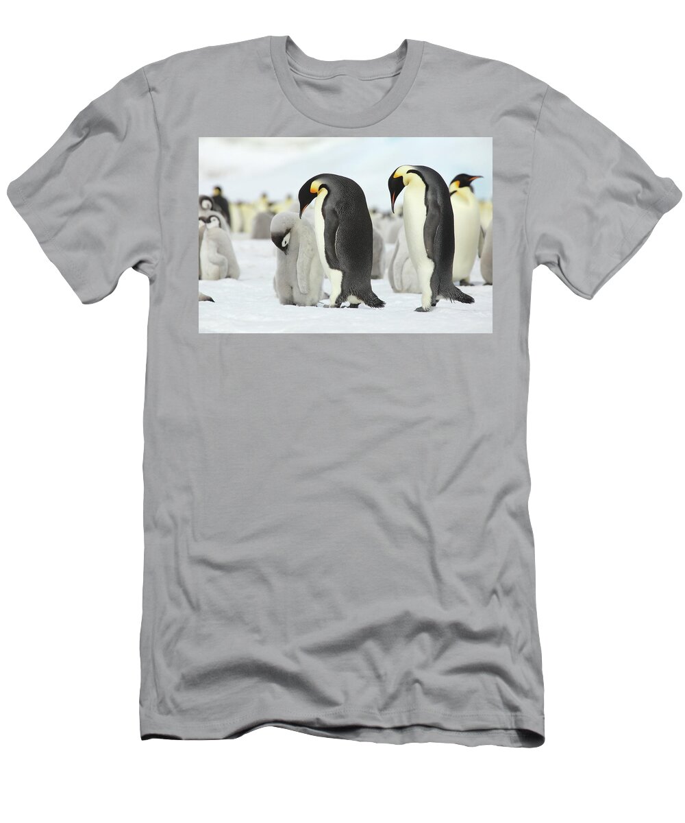 Penguin T-Shirt featuring the photograph Emperor Penguin Siesta by Bruce J Robinson