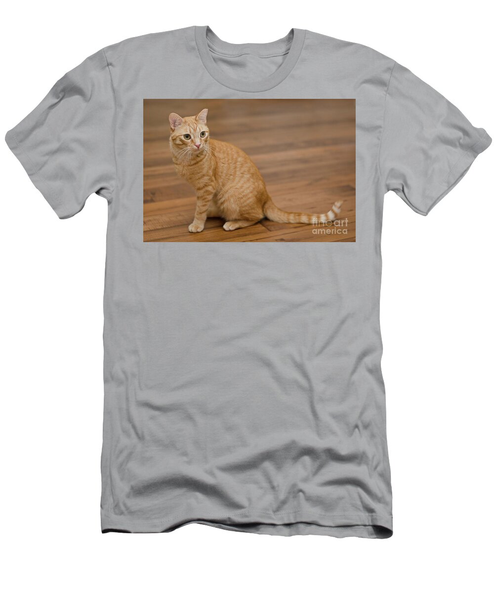 Red Tabby Cat T-Shirt featuring the photograph Enrique 1 by Irina ArchAngelSkaya