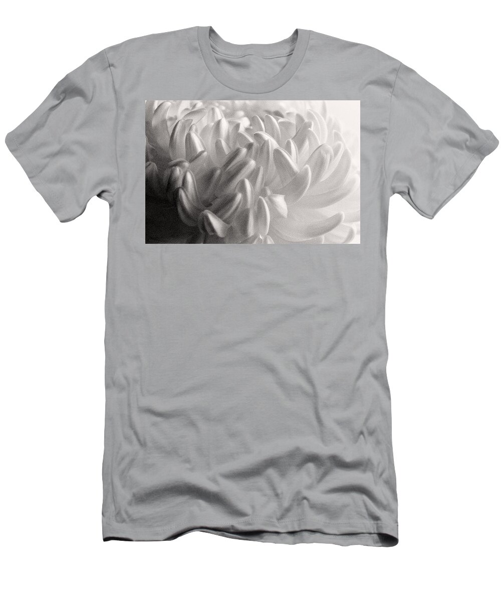 Nature T-Shirt featuring the photograph Ethereal Chrysanthemum by Zayne Diamond Photographic