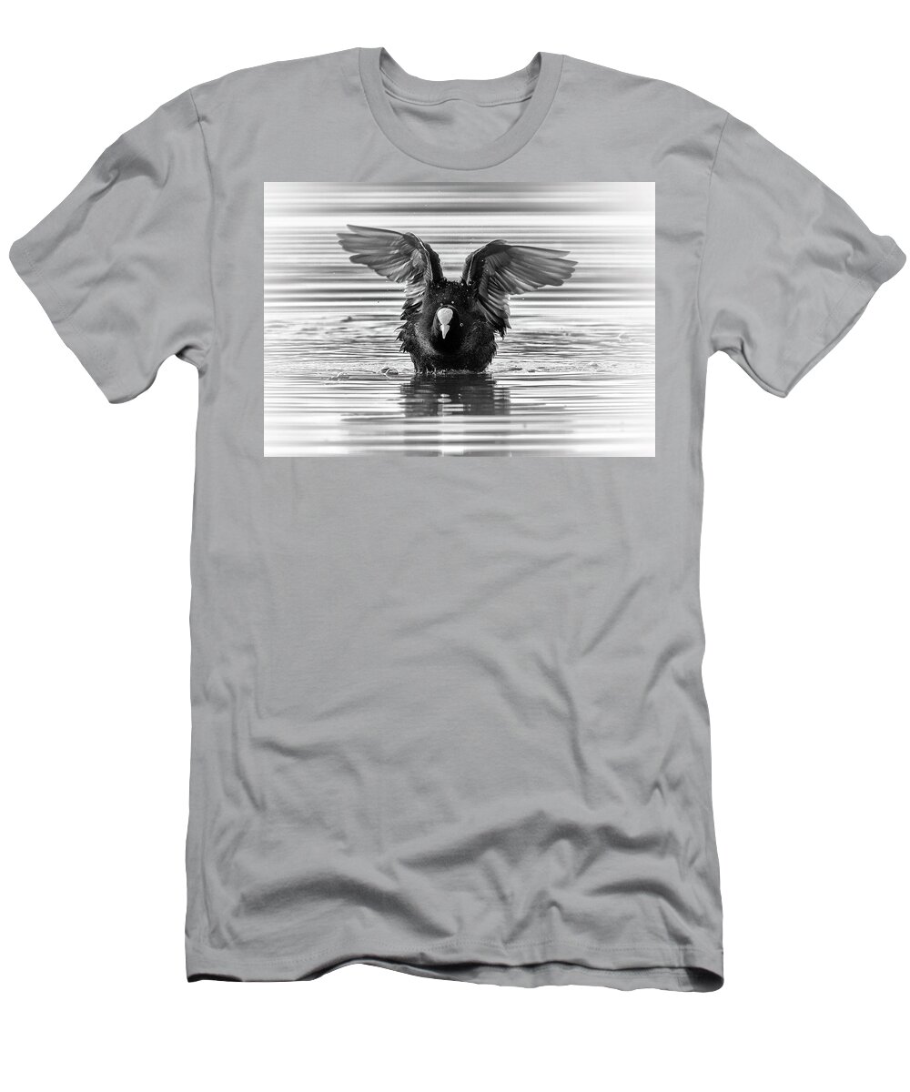 Coot T-Shirt featuring the photograph Eurasian or common coot, fulicula atra, duck by Elenarts - Elena Duvernay photo