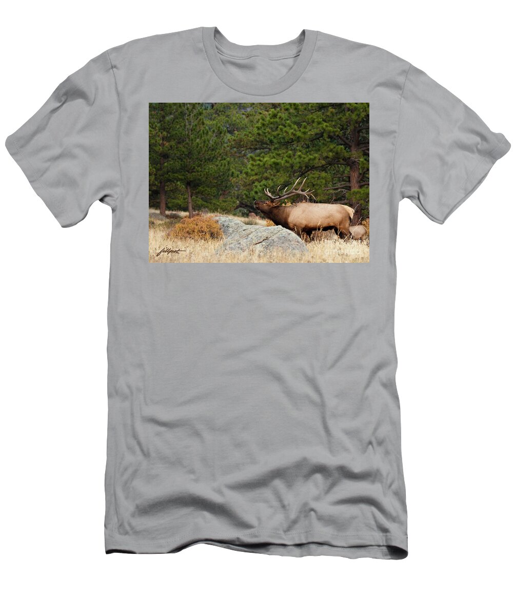 Rocky Mountain National Park T-Shirt featuring the photograph Evening Song by Bon and Jim Fillpot