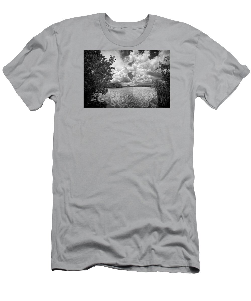 Everglades T-Shirt featuring the photograph Paurotis Pond - 0278aBW by Rudy Umans