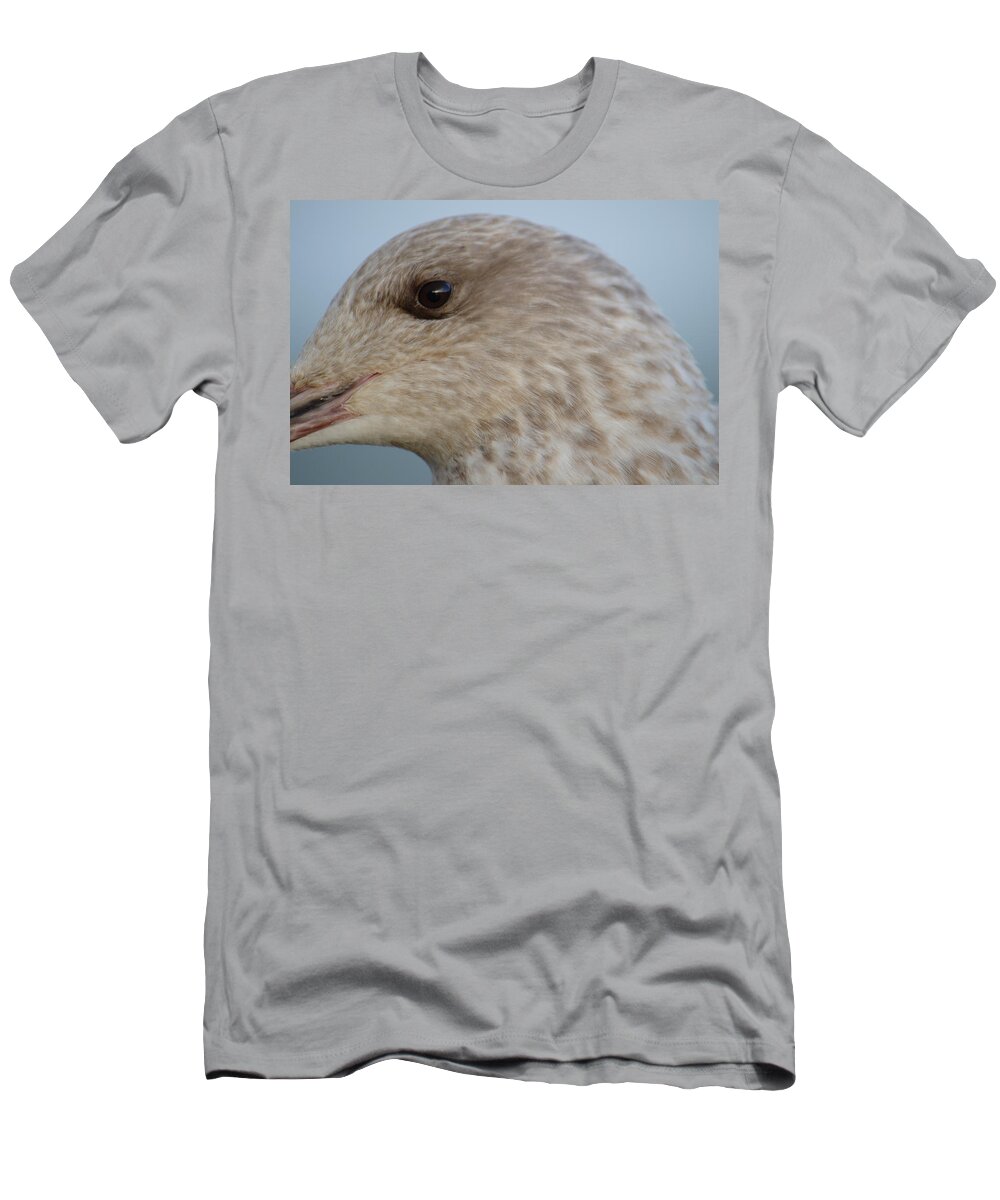 Gull T-Shirt featuring the photograph Face of Young Seagull by Adrian Wale