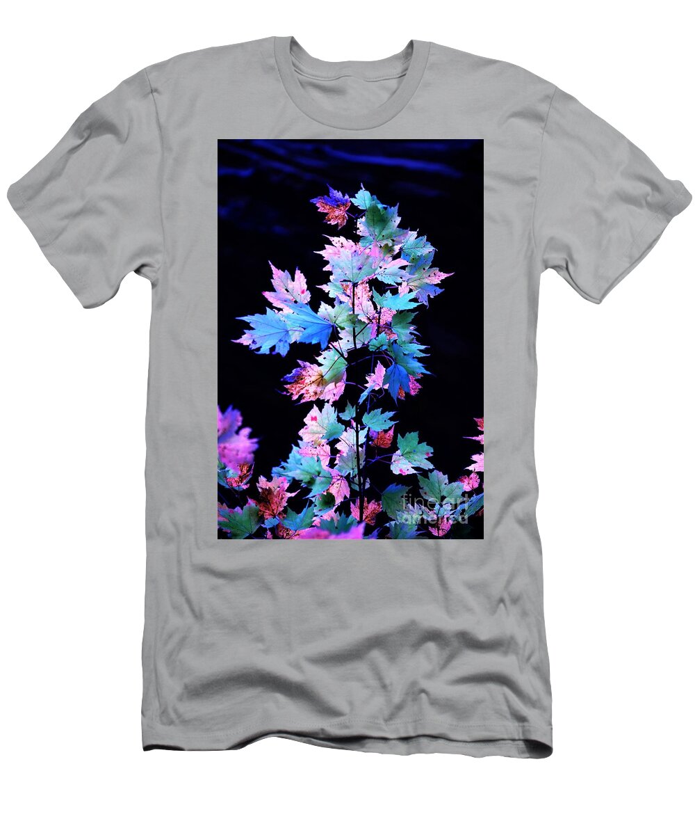 Autumn T-Shirt featuring the photograph Fall Leaves1 by Merle Grenz