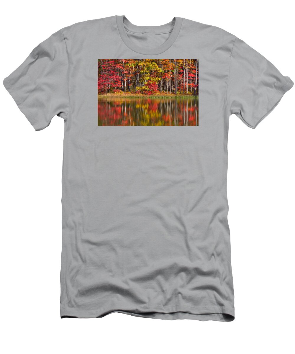 Fall T-Shirt featuring the photograph Fall Mosaic by Steve Luther