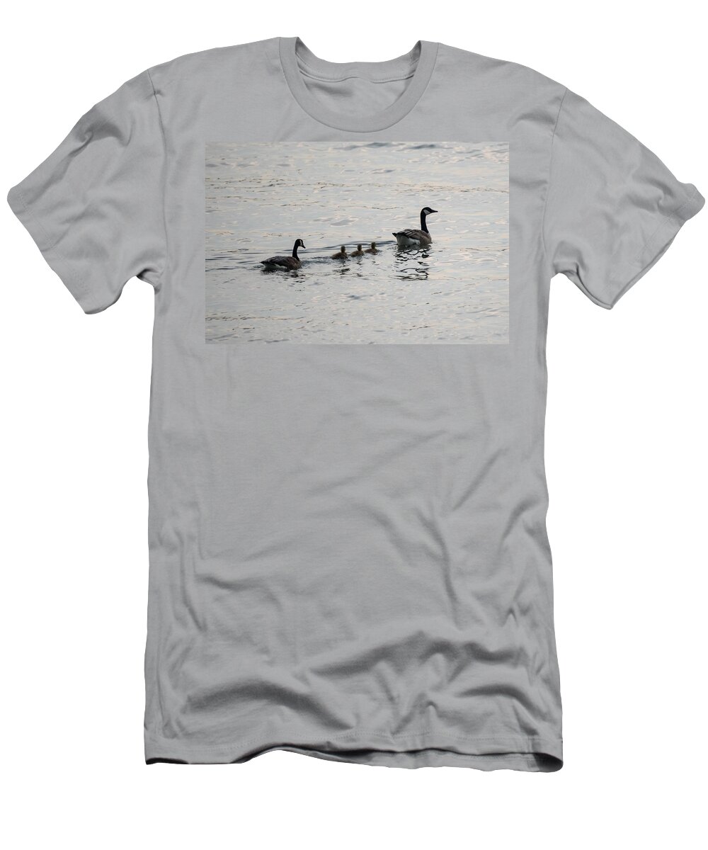 Goose T-Shirt featuring the photograph Family of Canada Geese on the Ohio River by Holden The Moment