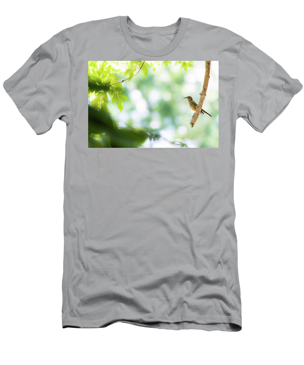 Bird T-Shirt featuring the photograph Fast Food by Annette Hugen