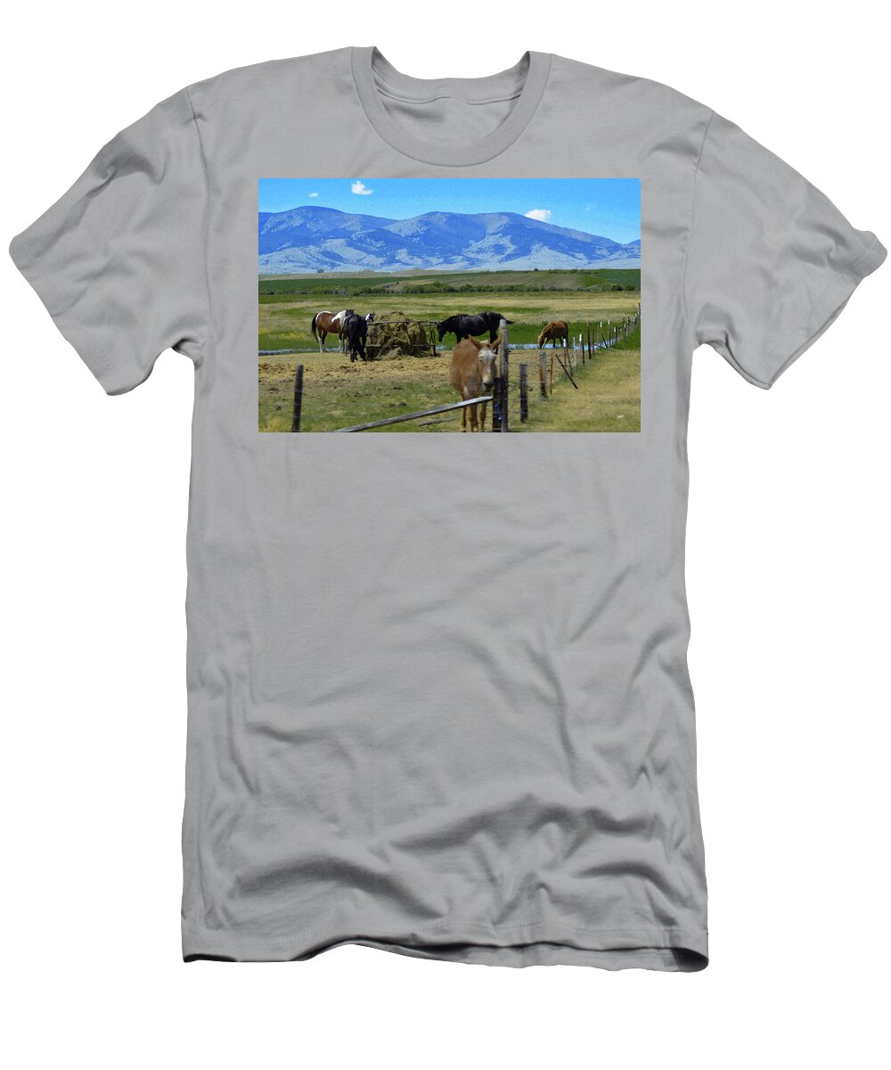 Horses T-Shirt featuring the photograph Feeding Time by Michelle Hoffmann