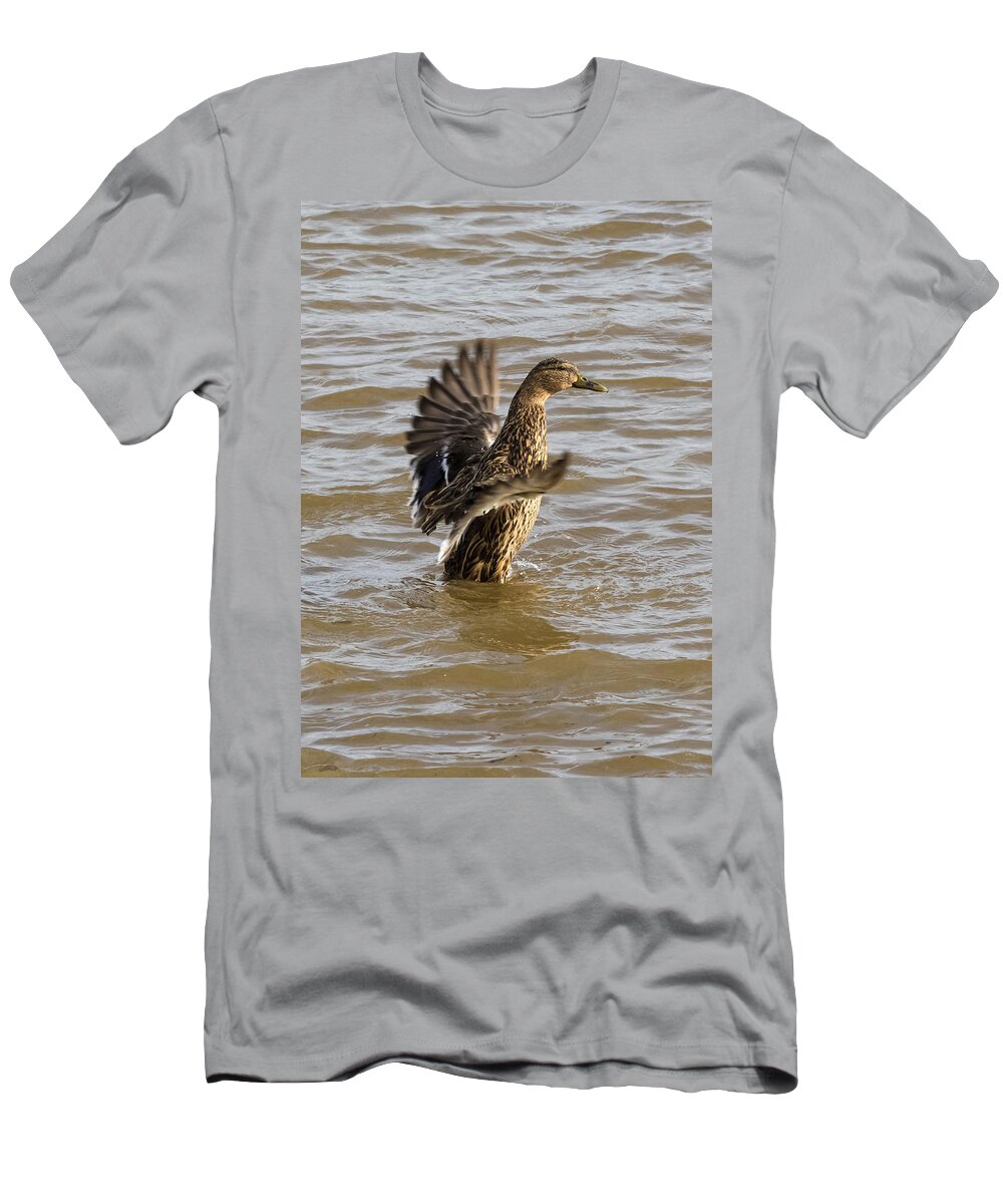 Jan Holden T-Shirt featuring the photograph Female Mallard by Holden The Moment