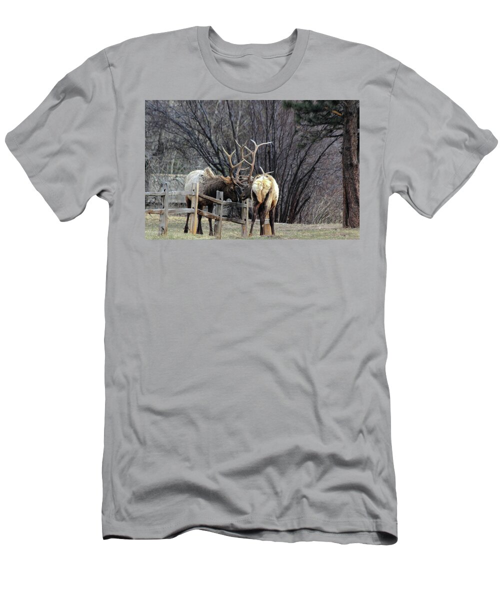 Bull T-Shirt featuring the photograph Fence Battle by Shane Bechler