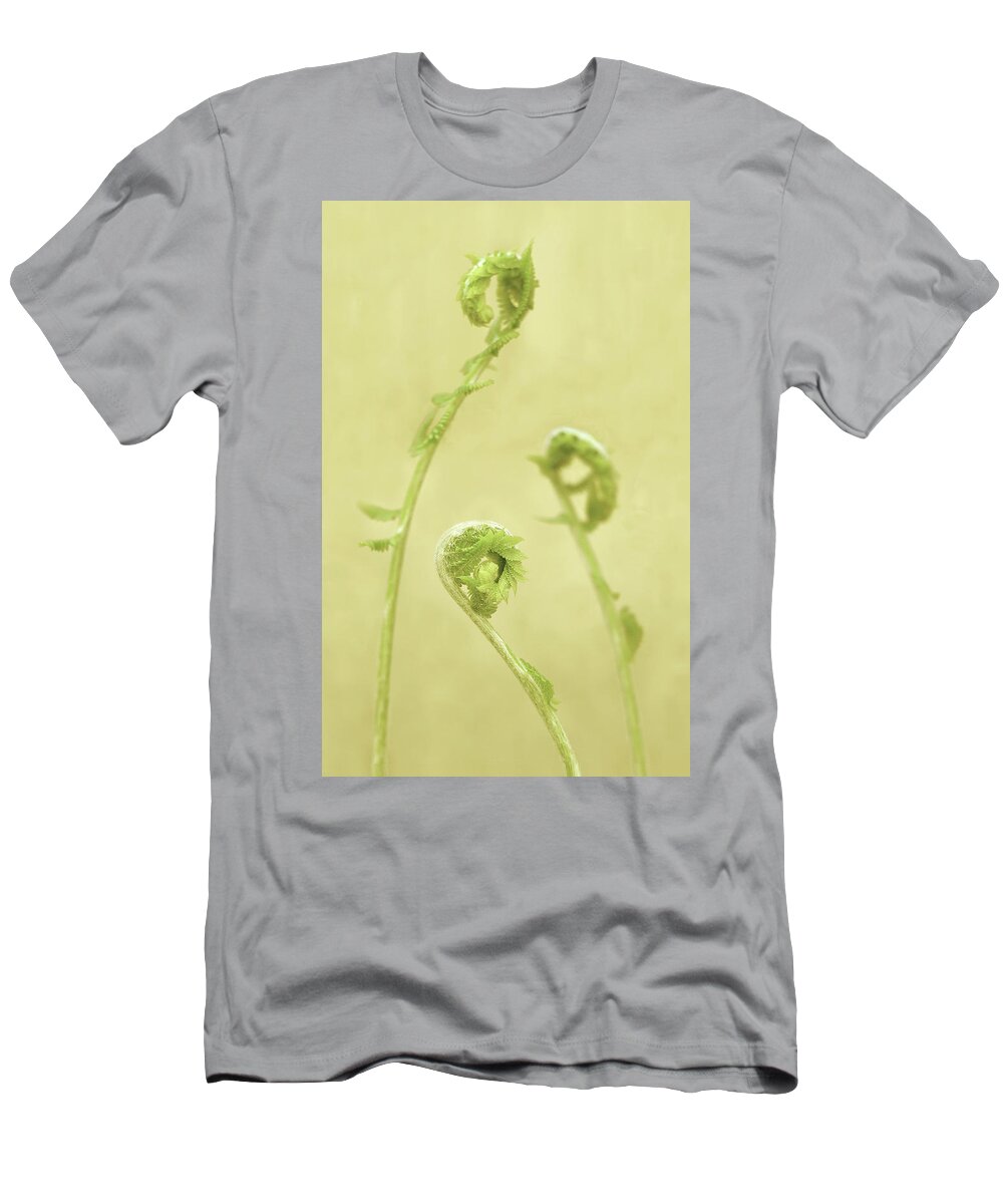 Garden T-Shirt featuring the photograph Fiddle-heads by Scott Griswold