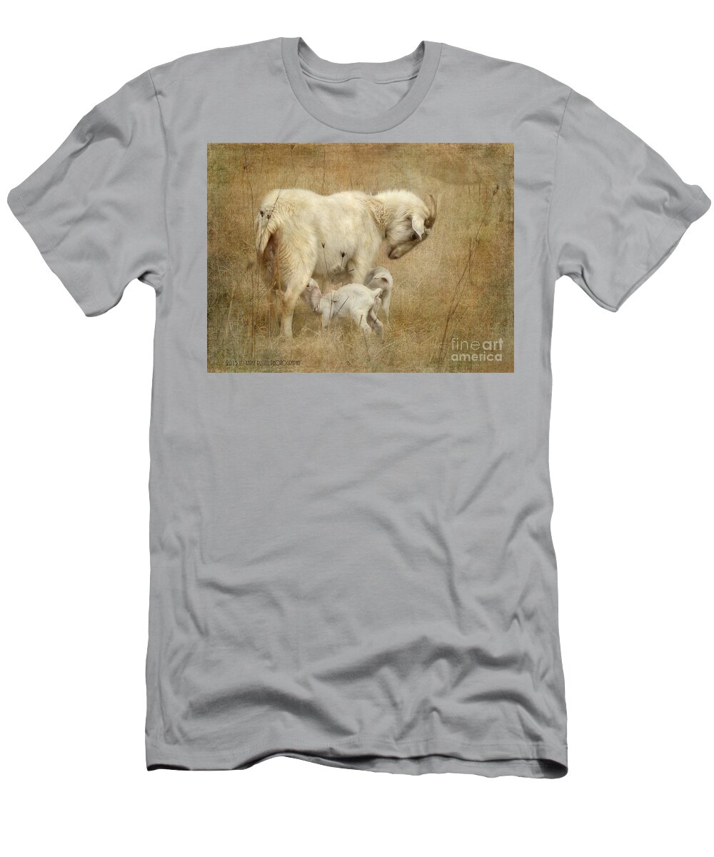 Babies T-Shirt featuring the photograph First Day of Life by Kathy Russell