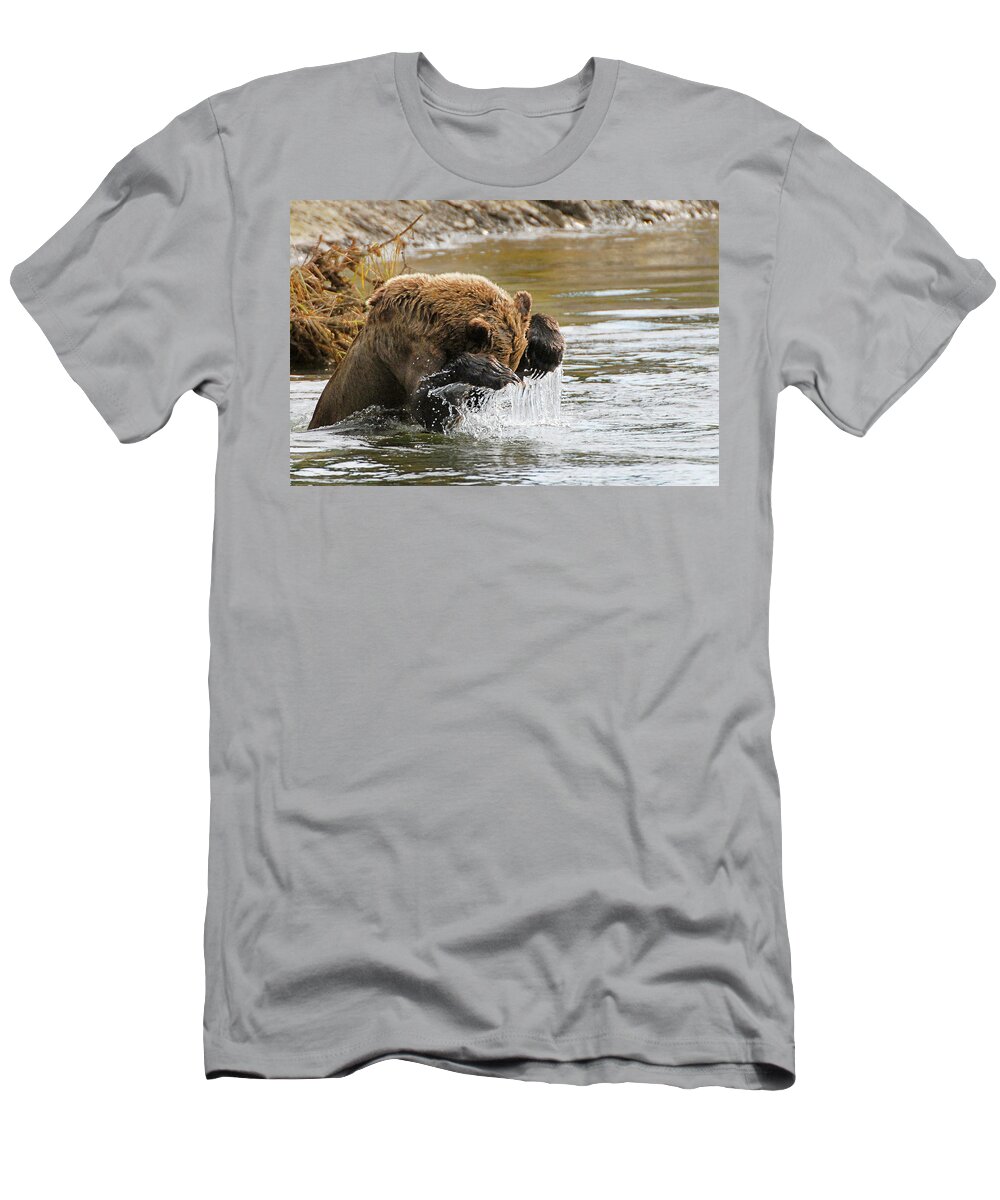 Fishing T-Shirt featuring the photograph Fishing Grizzly Bear by Ted Keller