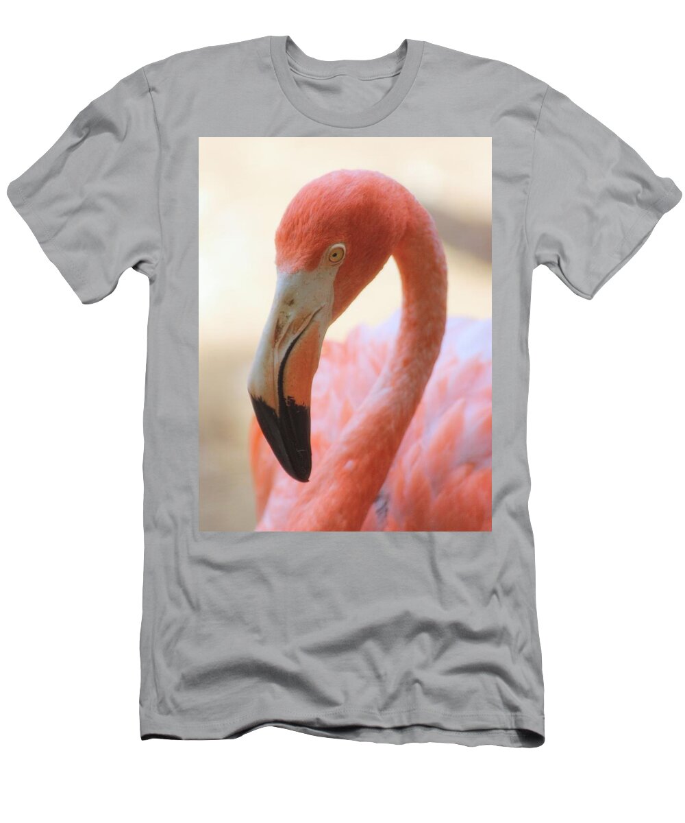 Flamingo T-Shirt featuring the photograph Flamingo 2 by Elizabeth Budd
