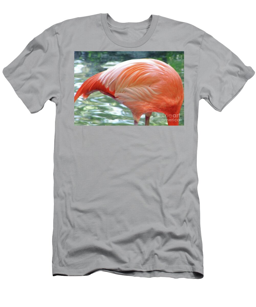 Flamingo T-Shirt featuring the photograph Flamingo Feathers by D Hackett