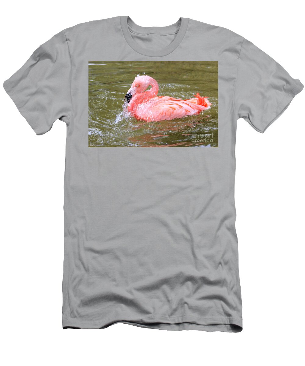 Flamingo T-Shirt featuring the photograph Flamingo Fun by Kathy White