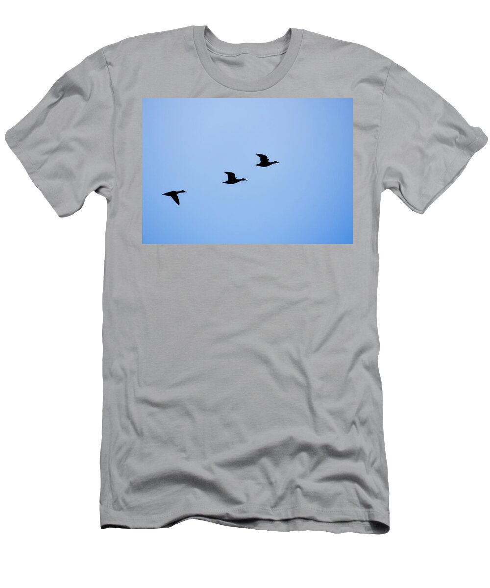 Nature T-Shirt featuring the photograph Flight of Three by Robert Mitchell
