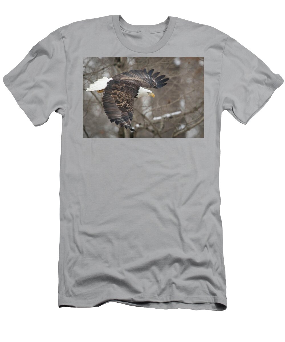 Eagle T-Shirt featuring the photograph Flight by Rhoda Gerig