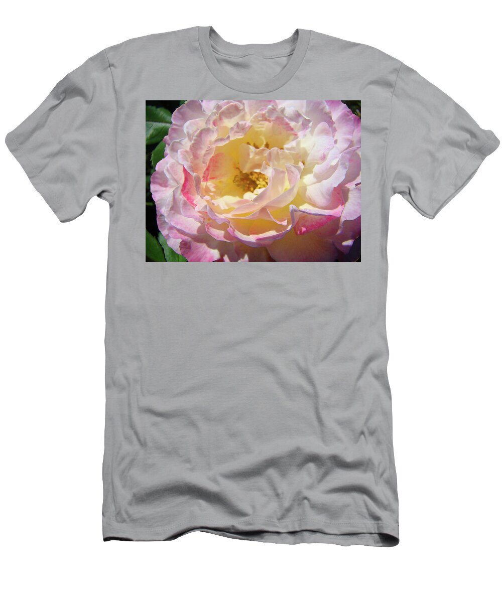 Rose T-Shirt featuring the photograph Floral Rose art prints Garden Baslee Troutman by Patti Baslee