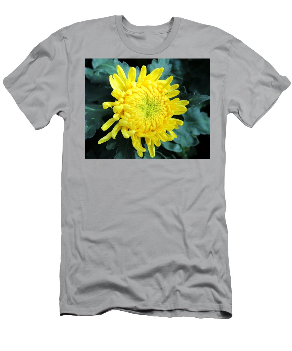 Flower T-Shirt featuring the photograph Flower 8 by John Olson
