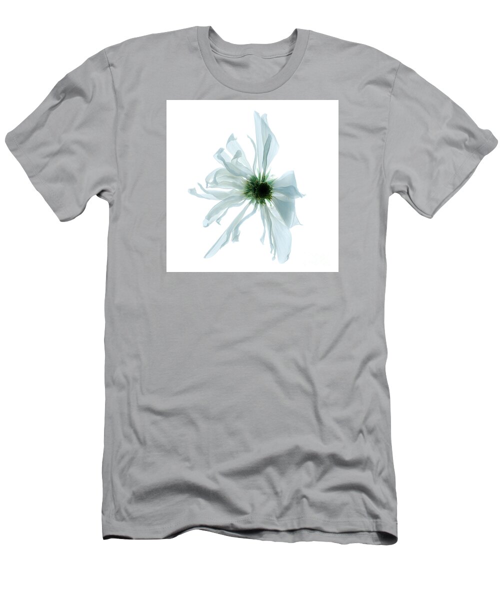 Soft T-Shirt featuring the photograph Flower head by Clayton Bastiani