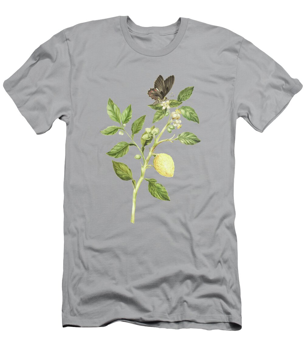 Flowering T-Shirt featuring the mixed media Flowering Branch Of Lemon Tree Fruit And Butterfly by Cornelis Markee 1763 by Movie Poster Prints