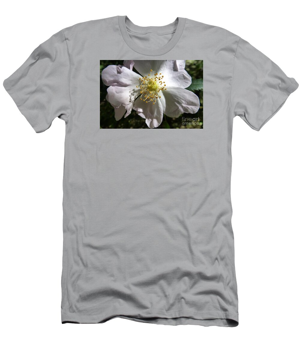 Bloom T-Shirt featuring the photograph Flowering Of White Flowers 3 by Jean Bernard Roussilhe
