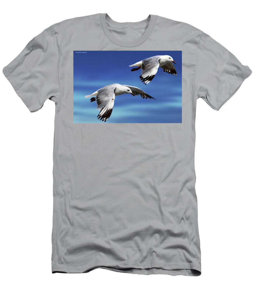 Seagull Photography T-Shirt featuring the photograph Flying high 0064 by Kevin Chippindall
